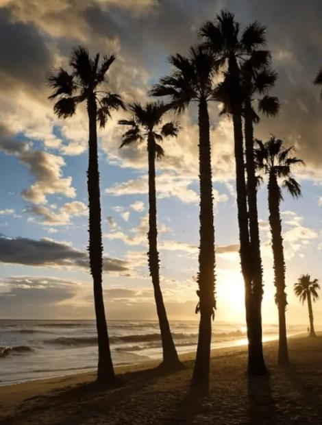 Costa Daurada - El Vendrell Ibersol Group Costa Daurada - El Vendrell Ibersol Group