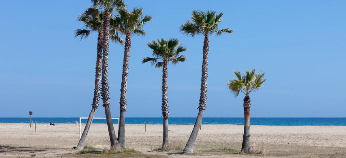 Playas Ibersol Group Playas Ibersol Group