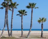 Playas Ibersol Group Playas Ibersol Group