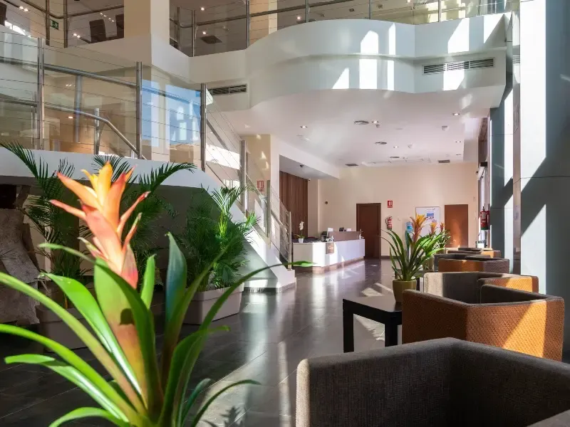 Recepció Hotel Ibersol Atrio del Mar Los Alcázares Recepció Hotel Ibersol Atrio del Mar Los Alcázares