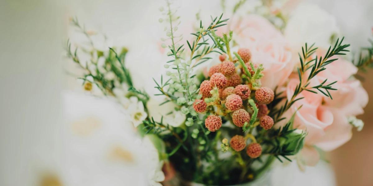 Ibersol Group Ibersol Group